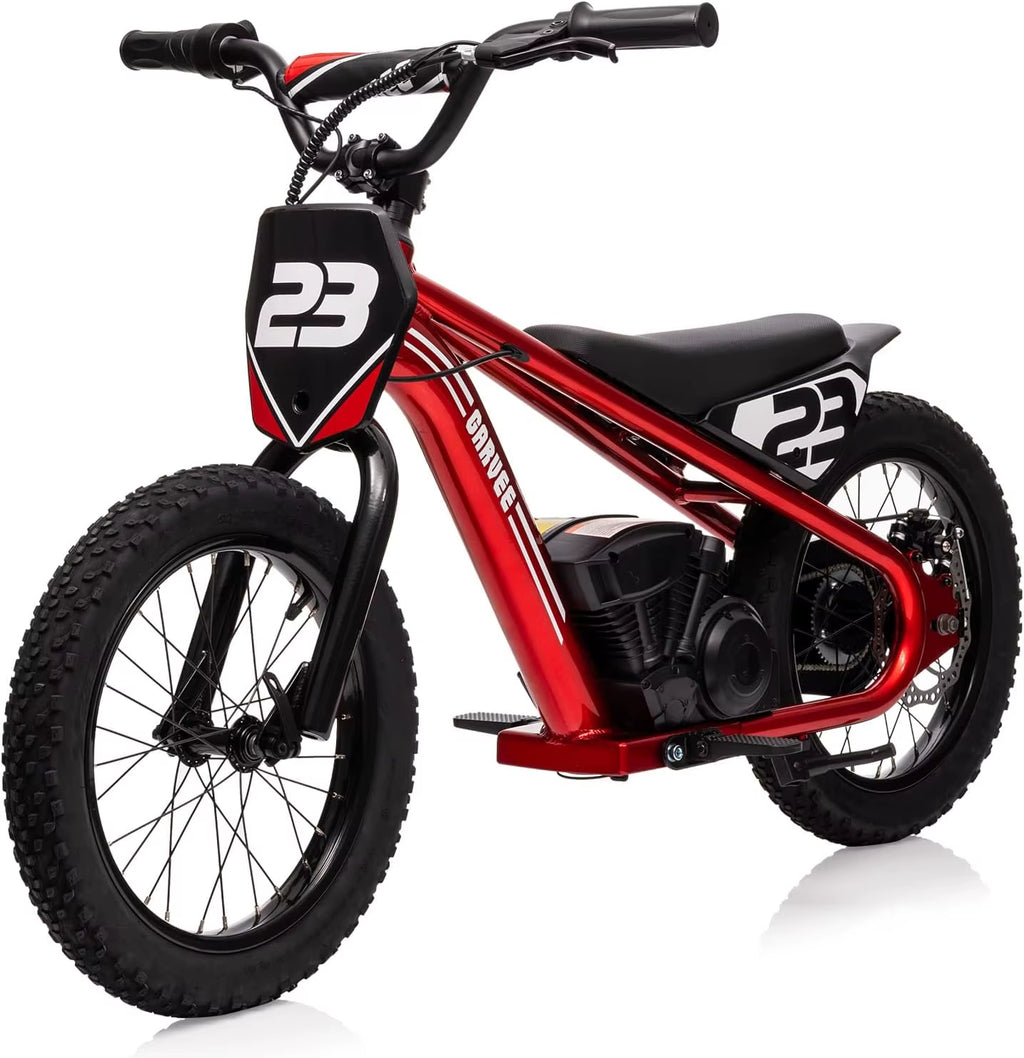 24V Electric Dirt Bike for Kids 250W Electric Motorcycle 16 Inch Electric Balance Bike for Ages 6-12Y up to 15.53MPH & 3 Speed