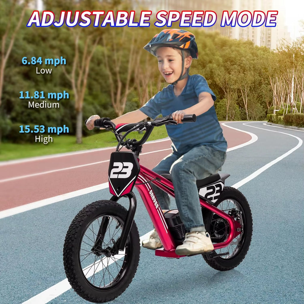 24V Electric Dirt Bike for Kids 250W Electric Motorcycle 16 Inch Electric Balance Bike for Ages 6-12Y up to 15.53MPH & 3 Speed