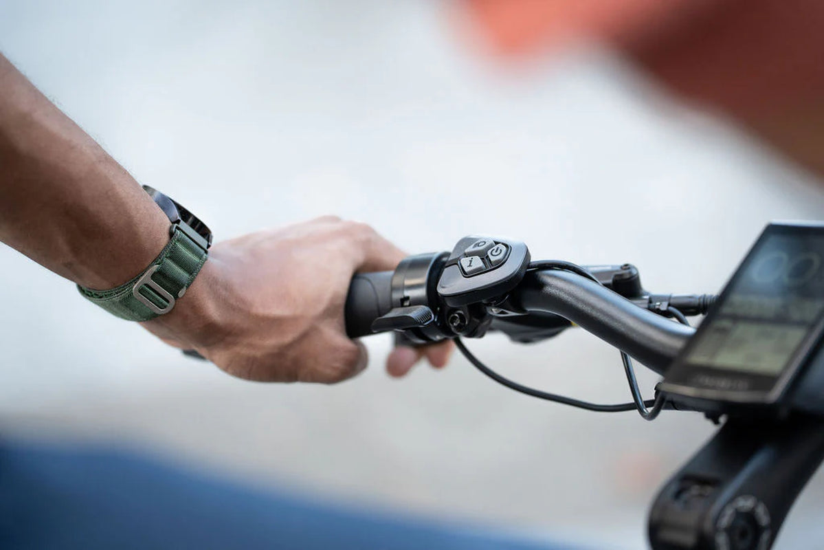 Carbon Opra Spark E-Bike