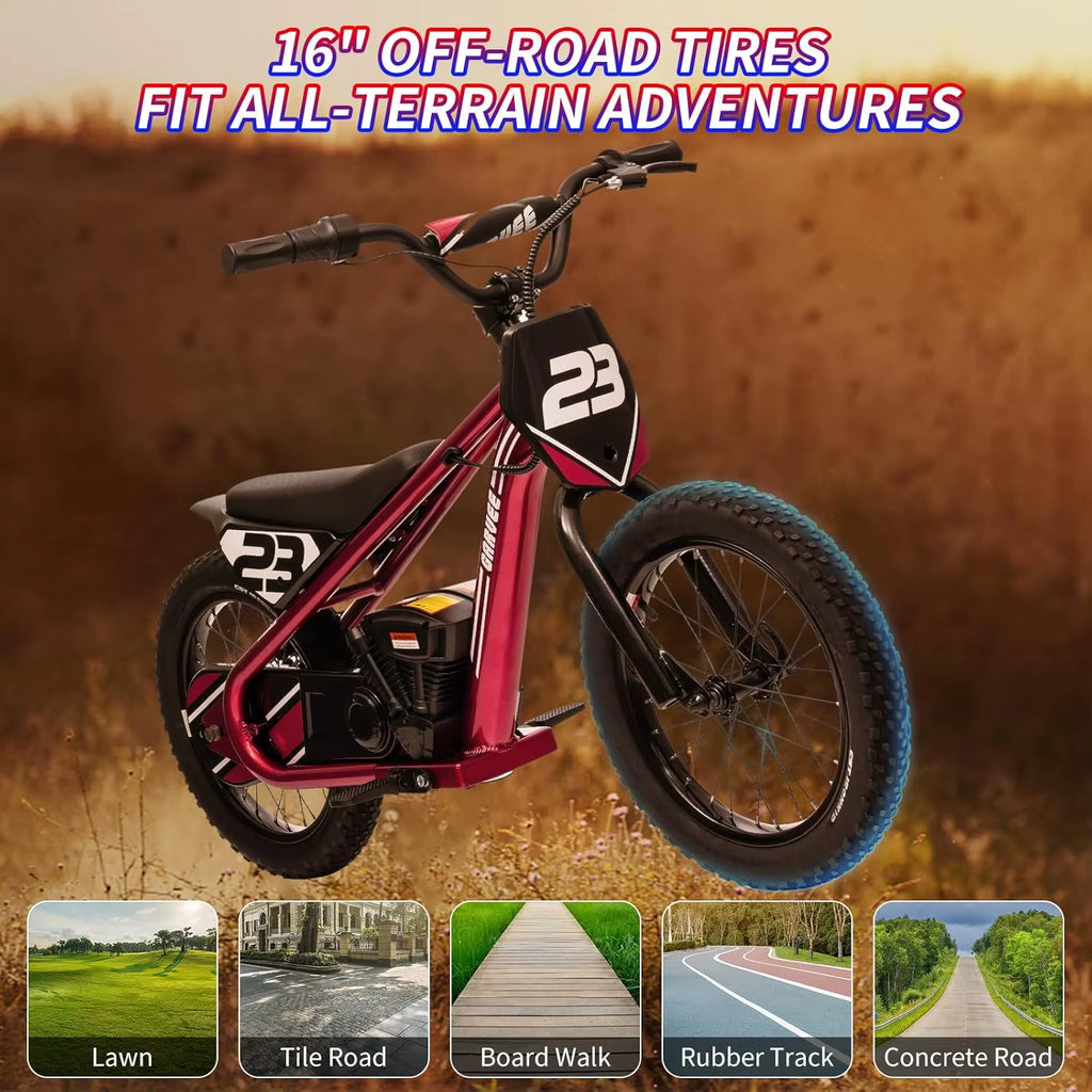 24V Electric Dirt Bike for Kids 250W Electric Motorcycle 16 Inch Electric Balance Bike for Ages 6-12Y up to 15.53MPH & 3 Speed