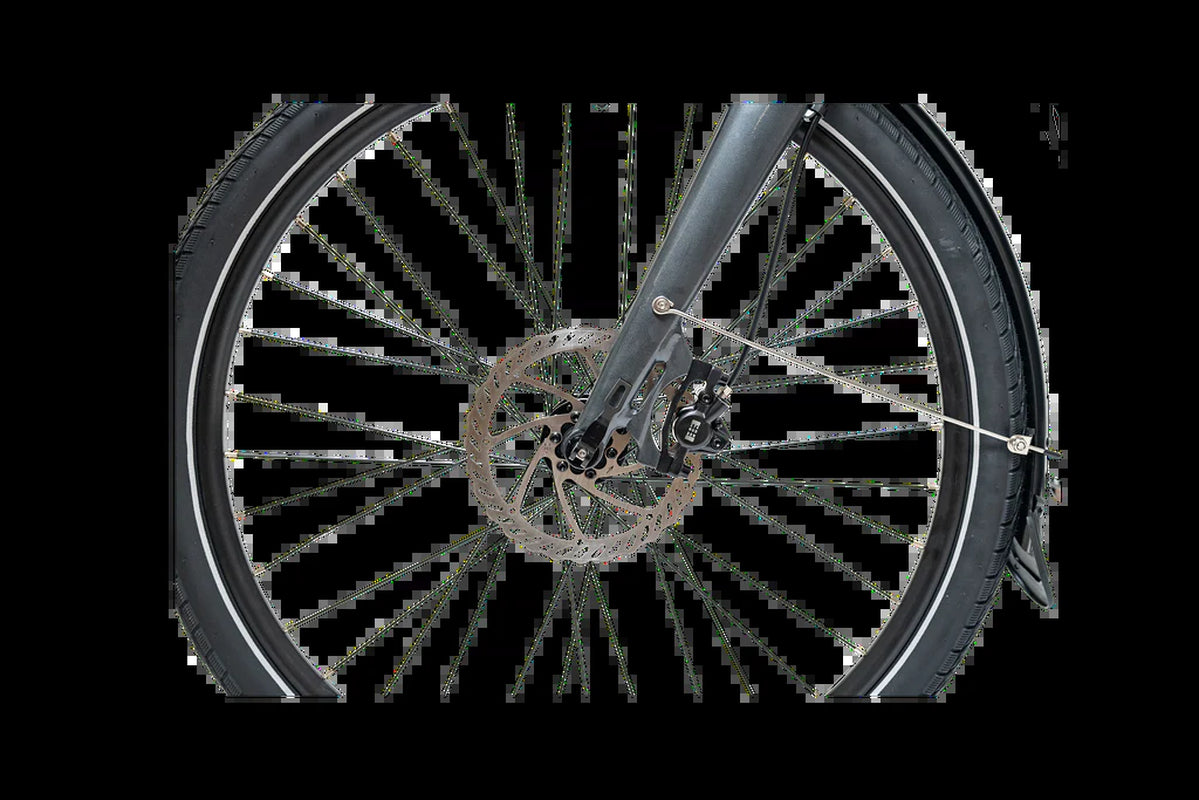 Carbon Opra Spark E-Bike